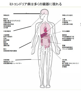図_ミトコンドリア病と臓器